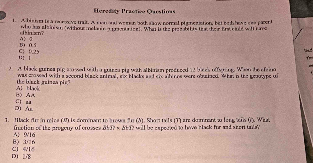 Heredity Practice Questions
1. Albinism is a recessive trait. A man and woman both show normal pigmentation, but both have one parent
who has albinism (without melanin pigmentation). What is the probability that their first child will have
albinism?
A) 0
B) 0.5
C) 0.25 Red
D) 1 the
m
2. A black guinea pig crossed with a guinea pig with albinism produced 12 black offspring. When the albino
was crossed with a second black animal, six blacks and six albinos were obtained. What is the genotype of 
the black guinea pig?
A) black
B) AA
C) aa
D) Aa
3. Black fur in mice (B) is dominant to brown fur (b). Short tails (T) are dominant to long tails (t). What
fraction of the progeny of crosses BbTt × BbTt will be expected to have black fur and short tails?
A) 9/16
B) 3/16
C) 4/16
D) 1/8