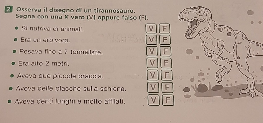 Osserva il disegno di un tirannosauro.
Segna con una ✘ vero (V) oppure falso (F).
Si nutriva di animali.
V F
Era un erbivoro. V F
Pesava fino a 7 tonnellate.
V F
Era alto 2 metri. V F
Aveva due piccole braccia. V F
Aveva delle placche sulla schiena. V F
Aveva denti lunghi e molto affilati. V F