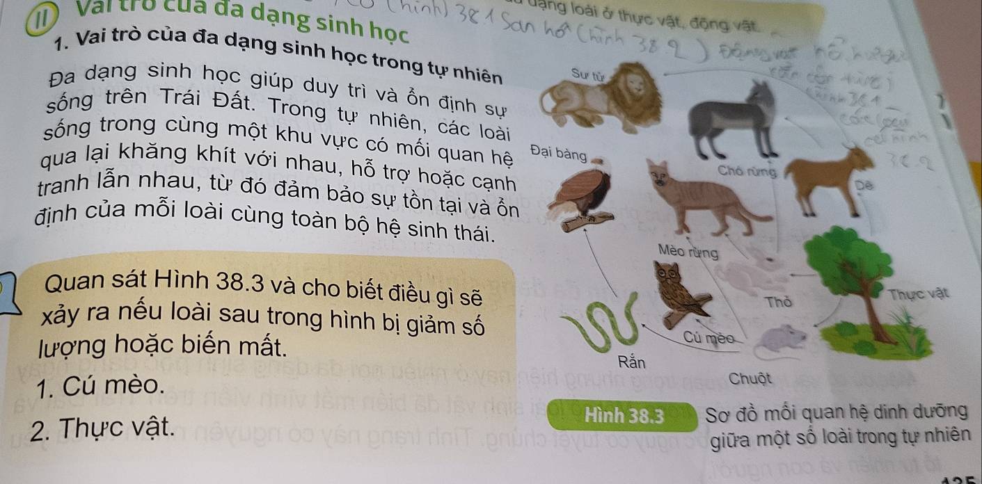 llạng loài ở thực vật, động vật. 
T Vài trò của đa dạng sinh học 
1. Vai trò của đa dạng sinh học trong tự nhiên 
Đa dạng sinh học giúp duy trì và ổn định sự 
sống trên Trái Đất. Trong tự nhiên, các loài 
sống trong cùng một khu vực có mối quan hệ 
qua lại khăng khít với nhau, hỗ trợ hoặc cạnh 
tranh lẫn nhau, từ đó đảm bảo sự tồn tại và ồ 
định của mỗi loài cùng toàn bộ hệ sinh thái. 
Quan sát Hình 38.3 và cho biết điều gì sẽ 
xảy ra nếu loài sau trong hình bị giảm số 
lượng hoặc biến mất. 
1. Cú mèo. 
2. Thực vật. 
Hình 38.3 Sơ đồ mối quan hệ dinh dưỡng 
giữa một số loài trong tự nhiên