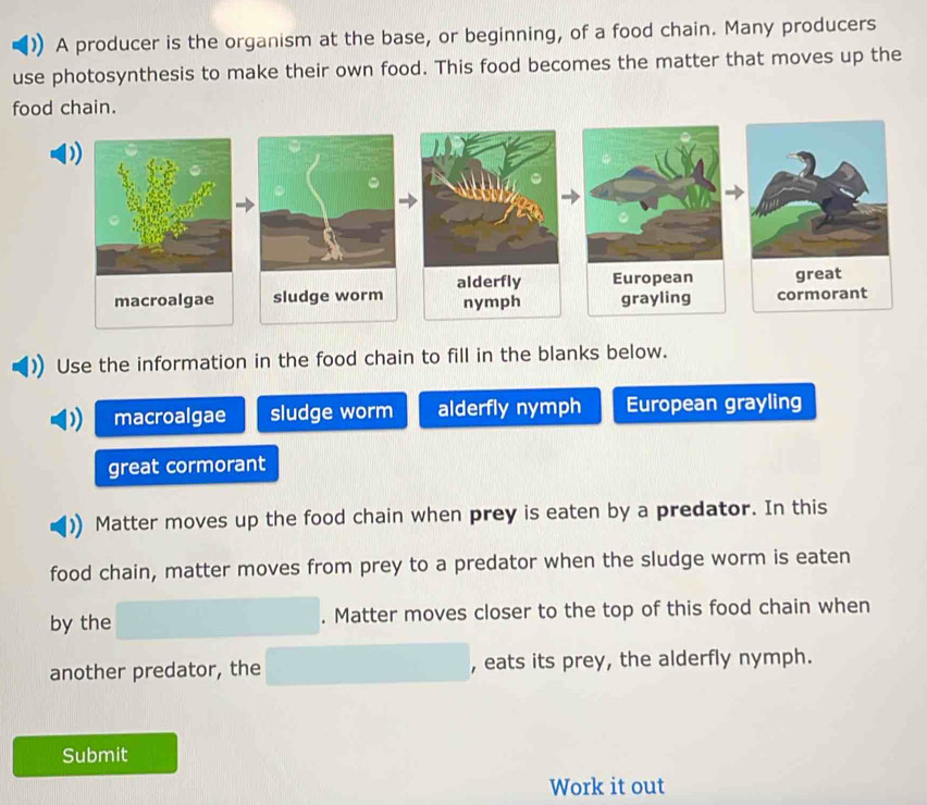 A producer is the organism at the base, or beginning, of a food chain. Many producers 
use photosynthesis to make their own food. This food becomes the matter that moves up the 
food chain. 
Use the information in the food chain to fill in the blanks below. 
macroalgae sludge worm alderfly nymph European grayling 
great cormorant 
Matter moves up the food chain when prey is eaten by a predator. In this 
food chain, matter moves from prey to a predator when the sludge worm is eaten 
by the . Matter moves closer to the top of this food chain when 
another predator, the , eats its prey, the alderfly nymph. 
Submit 
Work it out