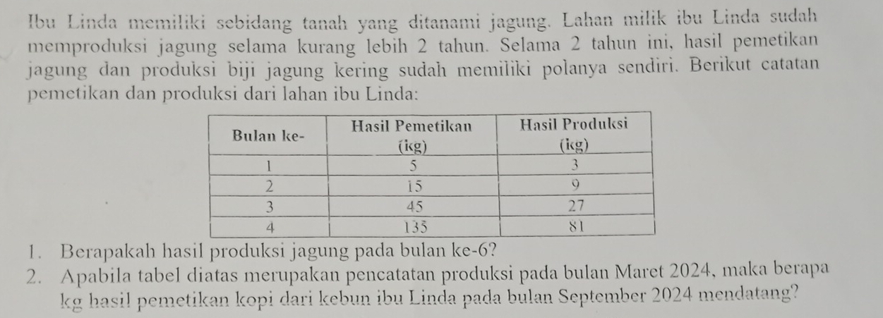 Ibu Linda memiliki sebidang tanah yang ditanami jagung. Lahan milik ibu Linda sudah 
memproduksi jagung selama kurang lebih 2 tahun. Selama 2 tahun ini, hasil pemetikan 
jagung dan produksi biji jagung kering sudah memiliki polanya sendiri. Berikut catatan 
pemetikan dan produksi dari lahan ibu Linda: 
1. Berapakah hasil produksi jagung pada bulan ke -6? 
2. Apabila tabel diatas merupakan pencatatan produksi pada bulan Maret 2024, maka berapa 
kg hasil pemetikan kopi dari kebun ibu Linda pada bulan September 2024 mendatang?