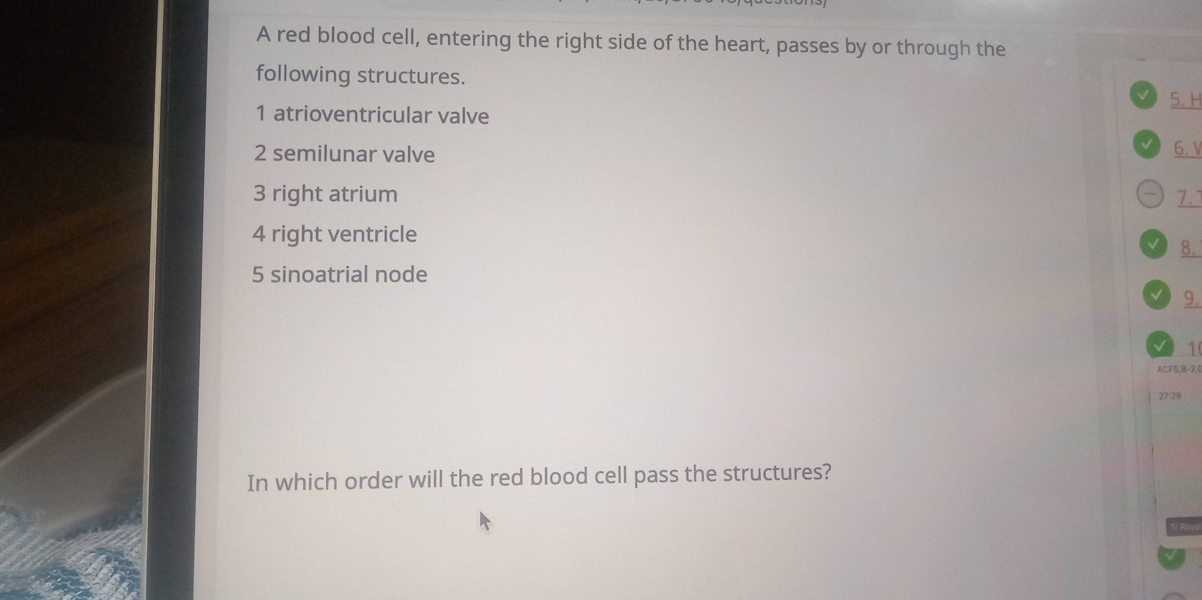 A red blood cell, entering the right side of the heart, passes by or through the 
following structures. 
5. H 
1 atrioventricular valve 
2 semilunar valve 
6. V 
3 right atrium 7. 
4 right ventricle 
8. 
5 sinoatrial node 
9. 
/ 1 
ACFS,B-2,C 
27:28 
In which order will the red blood cell pass the structures?