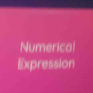 Numerical 
Expression