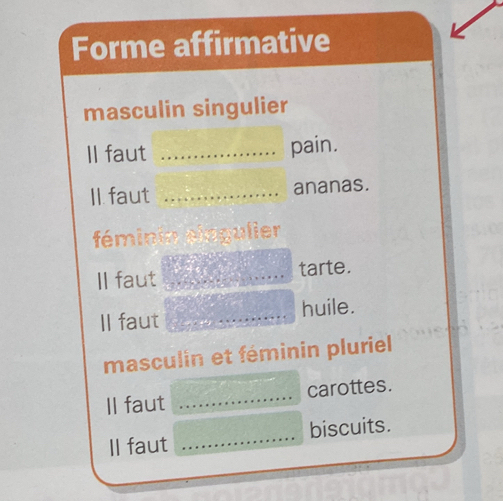 Forme affirmative
masculin singulier
Il faut _pain.
Il faut _ananas.
féminin singulier
Il faut tarte.
II faut huile.
masculin et féminin pluriel
Il faut _carottes.
Il faut _biscuits.