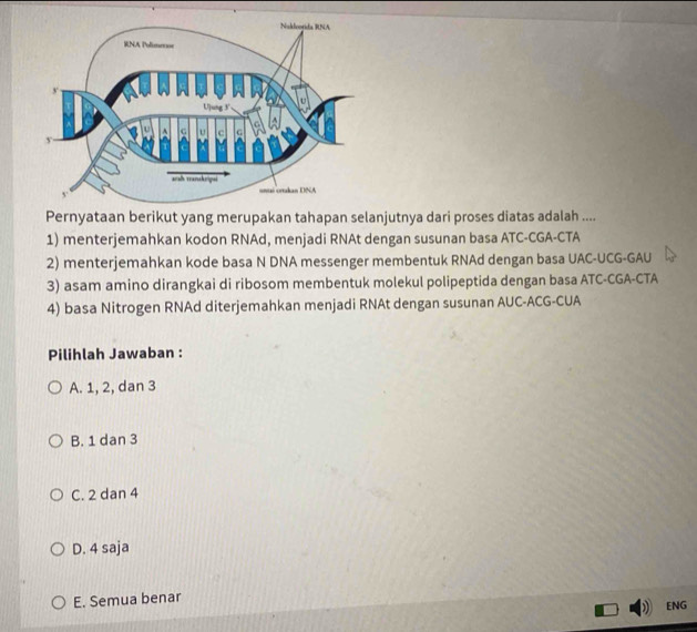 Pernyataan berikut yang merupakan tahapan selanjutnya dari proses diatas adalah ....
1) menterjemahkan kodon RNAd, menjadi RNAt dengan susunan basa ATC-CGA-CTA
2) menterjemahkan kode basa N DNA messenger membentuk RNAd dengan basa UAC-UCG-GAU
3) asam amino dirangkai di ribosom membentuk molekul polipeptida dengan basa ATC-CGA-CTA
4) basa Nitrogen RNAd diterjemahkan menjadi RNAt dengan susunan AUC-ACG-CUA
Pilihlah Jawaban :
A. 1, 2, dan 3
B. 1 dan 3
C. 2 dan 4
D. 4 saja
E. Semua benar
ENG