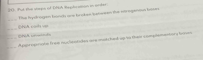 Put the steps of DNA Replication in order: 
_The hydrogen bonds are broken between the nitrogenous bases 
_ 
DNA coils up 
_DNA unwinds 
_Appropriate free nucleotides are matched up to their complementary bases