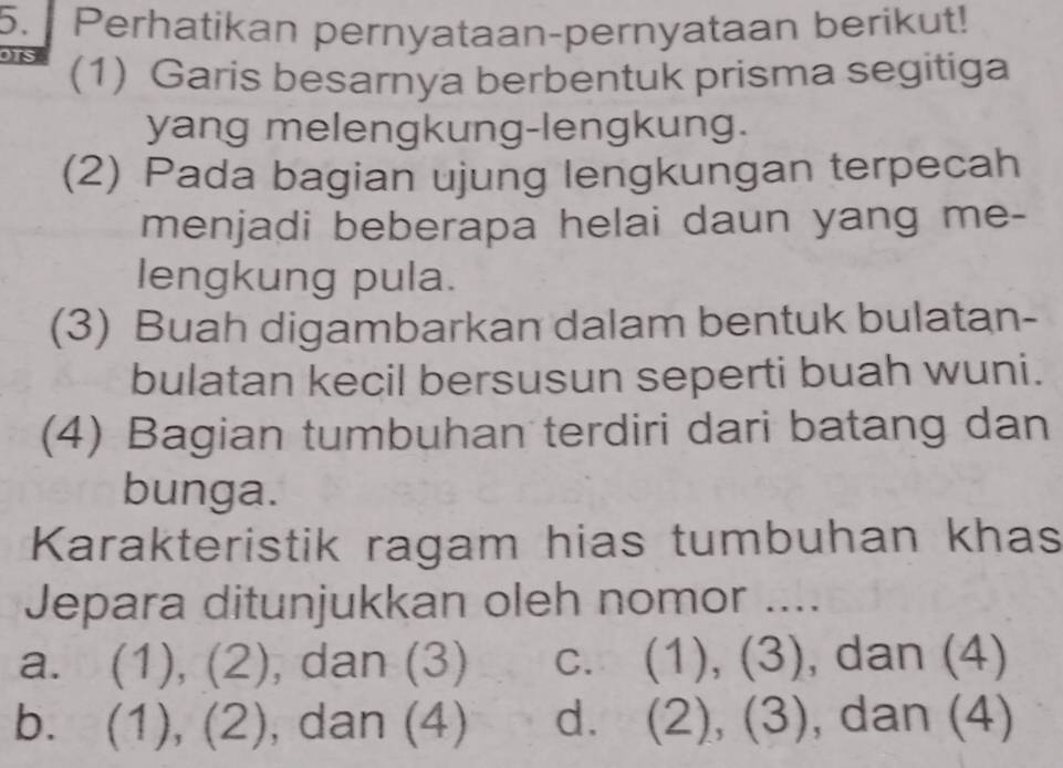 Perhatikan pernyataan-pernyataan berikut!
(1) Garis besarnya berbentuk prisma segitiga
yang melengkung-lengkung.
(2) Pada bagian ujung lengkungan terpecah
menjadi beberapa helai daun yang me-
lengkung pula.
(3) Buah digambarkan dalam bentuk bulatan-
bulatan kecil bersusun seperti buah wuni.
(4) Bagian tumbuhan terdiri dari batang dan
bunga.
Karakteristik ragam hias tumbuhan khas
Jepara ditunjukkan oleh nomor ....
a. (1), (2), dan (3) c. (1), (3), dan (4)
bì (1), (2 - ) , dan (4) d. (2), (3) , dan (4)