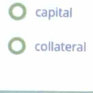 capital 
collateral