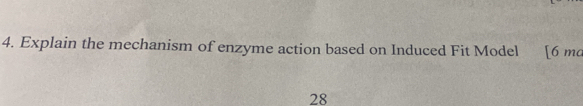 Explain the mechanism of enzyme action based on Induced Fit Model [6 ma 
28