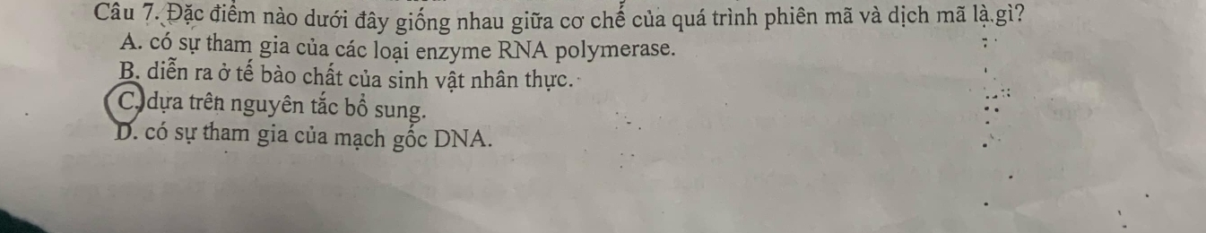 Đặc điểm nào dưới đây giống nhau giữa cơ chế của quá trình phiên mã và dịch mã là.gì?
A. có sự tham gia của các loại enzyme RNA polymerase.
B. diễn ra ở tế bào chất của sinh vật nhân thực.
C,dựa trên nguyên tắc bổ sung.
D. có sự tham gia của mạch gốc DNA.