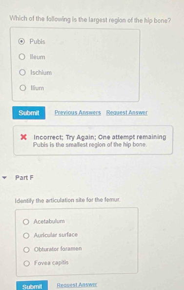 Which of the following is the largest region of the hip bone?
Pubis
Ileum
Ischium
Ilium
Submit Previous Answers Request Answer
Incorrect; Try Again; One attempt remaining
Pubis is the smallest region of the hip bone.
Part F
Identify the articulation site for the femur.
Acetabulum
Auricular surface
Obturator foramen
Fovea capitis
Submit Request Answer