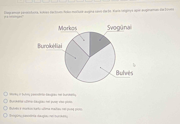 Diagramoje pavaizduota, kokias daržoves Roko močiutė augina savo darže. Kuris teiginys apie auginamas daržoves
yra teisingas?
Morkų ir bulvių pasodinta daugiau nei burokėlių.
Burokėliai užima daugiau nei pusę viso ploto.
Bulvés ir morkos kartu užima mažiau nei pusę ploto.
Svogūnų pasodinta daugiau nei burokėlių.