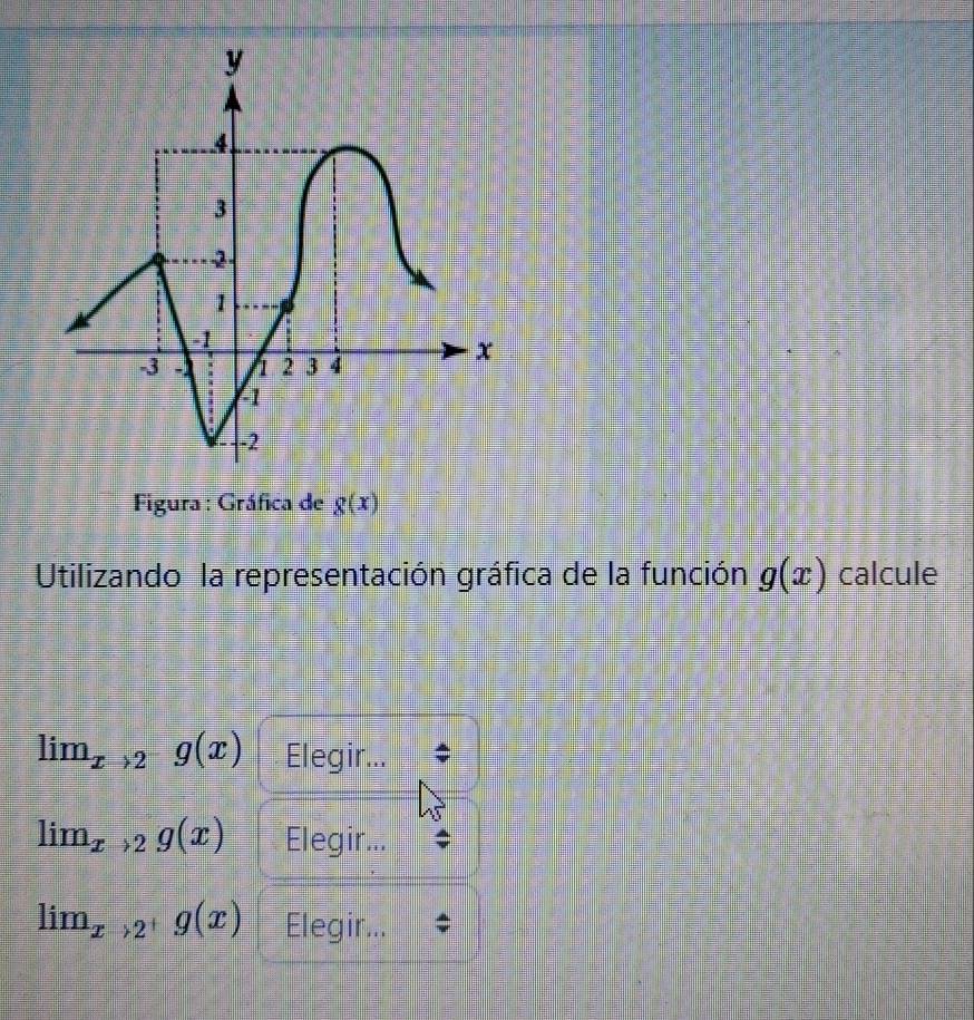 Figura : Gráfica de g(x)
Utilizando la representación gráfica de la función g(x) calcule
lim_xto 2^-g(x) Elegir...
lim_xto 2g(x) Elegir...
lim_xto 2^+g(x) Elegir...