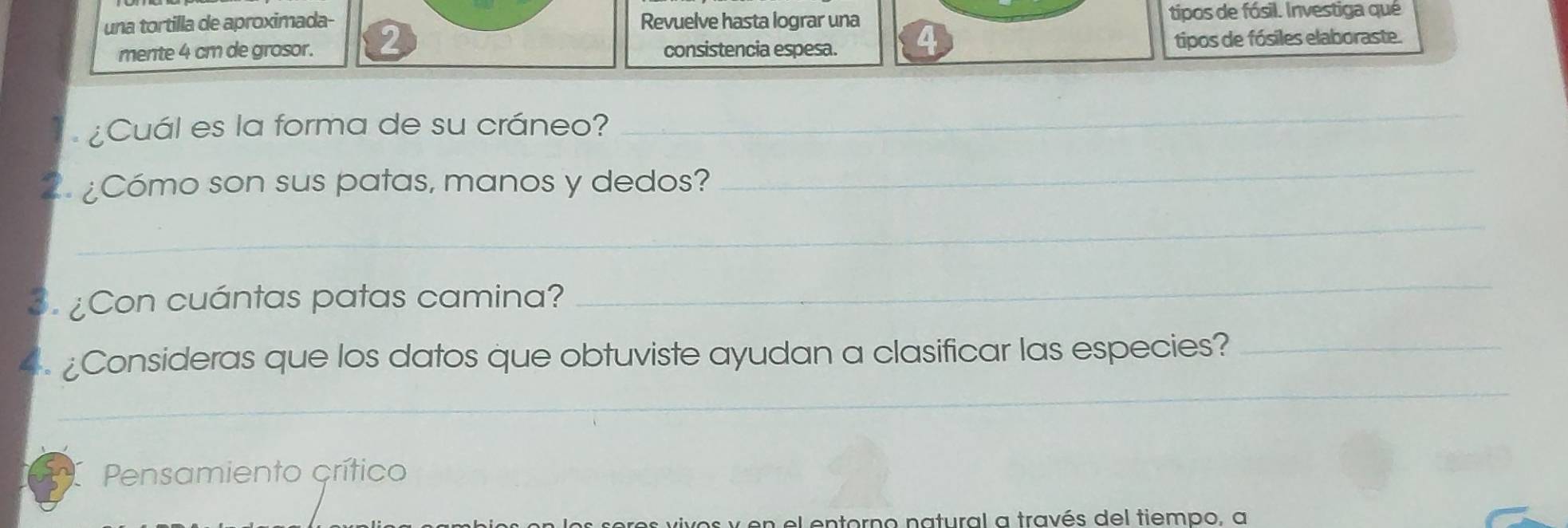 una tortilla de aproximada- Revuelve hasta lograr una tipos de fósil. Investiga qué 
mente 4 cm de grosor. 2 consistencia espesa. tipos de fósiles elaboraste. 
¿Cuál es la forma de su cráneo? 
_ 
2. ¿Cómo son sus patas, manos y dedos? 
_ 
_ 
3. ¿Con cuántas patas camina? 
_ 
_ 
4. ¿Consideras que los datos que obtuviste ayudan a clasificar las especies?_ 
Pensamiento crítico 
e sres v ivos y en el entorno natural a través del tiempo, a