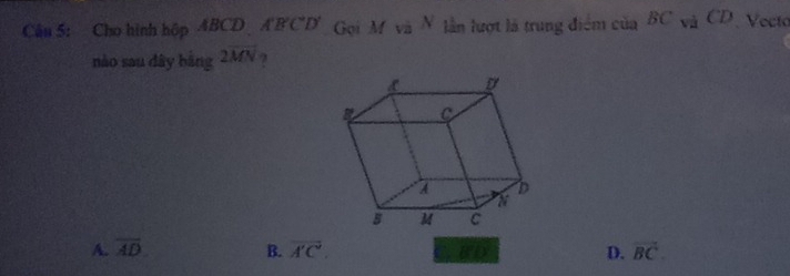 Cho hình hộp ABCD A'BC'D' Gọi M và N lần lượt là trung điểm của BC và D Vectó
nào sau dây bằng 2overline MN ?
A. overline AD B. overline A'C'. D. vector BC