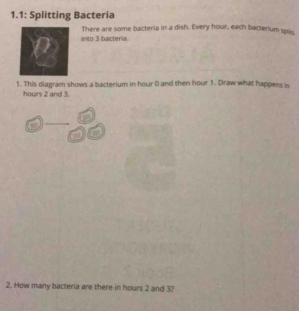 1.1: Splitting Bacteria 
There are some bacteria in a dish. Every hour, each bacterium splits 
into 3 bacteria. 
1. This diagram shows a bacterium in hour 0 and then hour 1. Draw what happens in
hours 2 and 3. 
2. How many bacteria are there in hours 2 and 3?