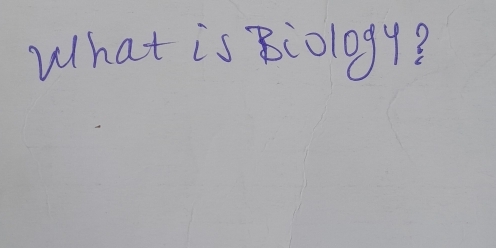 What is 8:ology?