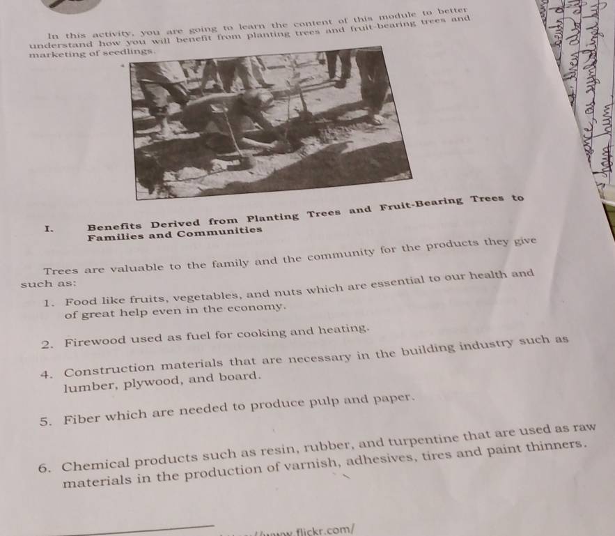 In this activity, you are going to learn the content of this module to better 
understand ho will benefit from planting trees and fruit-bearing trees and 
marketing of s 
I. Benefits Derived from Planting Trees and Fraring Trees to 
Families and Communities 
Trees are valuable to the family and the community for the products they give 
such as: 
1. Food like fruits, vegetables, and nuts which are essential to our health and 
of great help even in the economy. 
2. Firewood used as fuel for cooking and heating. 
4. Construction materials that are necessary in the building industry such as 
lumber, plywood, and board. 
5. Fiber which are needed to produce pulp and paper. 
6. Chemical products such as resin, rubber, and turpentine that are used as raw 
materials in the production of varnish, adhesives, tires and paint thinners. 
v.flickr.com/