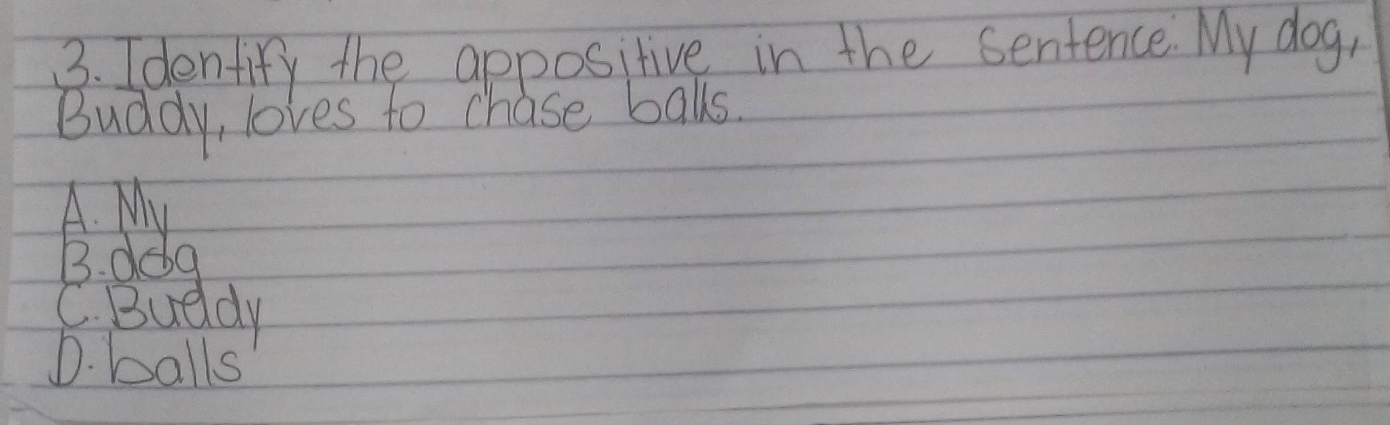 Idenfify the appositive in the sentence. My dog,
Buddy, loves to chase balls.
A. My
B. dog
C. Buddy
D. balls