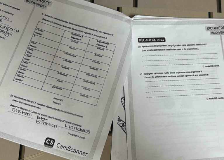 LRSITY 
BIODIVERSITi 
im dalam mangekalkan 
n 
_is in mainteining 1. Jadual 5. 
BIODIVERS 
BIODIVER 
marks 
KELANTAN 2024 
(b) Nystakan dua cirl pengelasan yang digunakan pada organisma tersebul di X. 
Stete two characteristics of clessification used in the organism af X. 
_ 
_ 
_ 
[2 markah/2 mariu| 
(c) Terangkan perbezaan nutrisl antara organisma A dan organisma B 
_ 
Explain the differences of nutritional between organism A and organism B. 
_ 
_ 
_ 
[2 markah/2 marks] 
but 
m yang digunakan dalam penama 
Diagram 5.1, state the system used in naming of the two organism. 
is 
[1 markah/1 mark] 
CS CamScanner