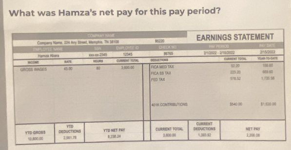 What was Hamza's net pay for this pay period?