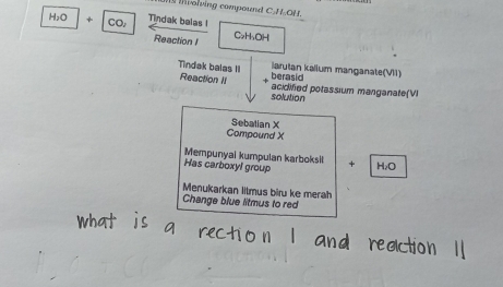 in volving compound C.H.OH.
H; O + CO, Tindak belas ! CuH₃OH 
Reaction I 
Tindak balas ! berasid iarutan kalium manganate(V1) 
Reaction II acidified potassium manganate(VI 
solution 
Sebalian X 
Compound X
Mempunyai kumpulan karboksl 
Has carboxyl group + H₂O 
Menukarkan litmus biru ke merah 
Change blue litmus to red