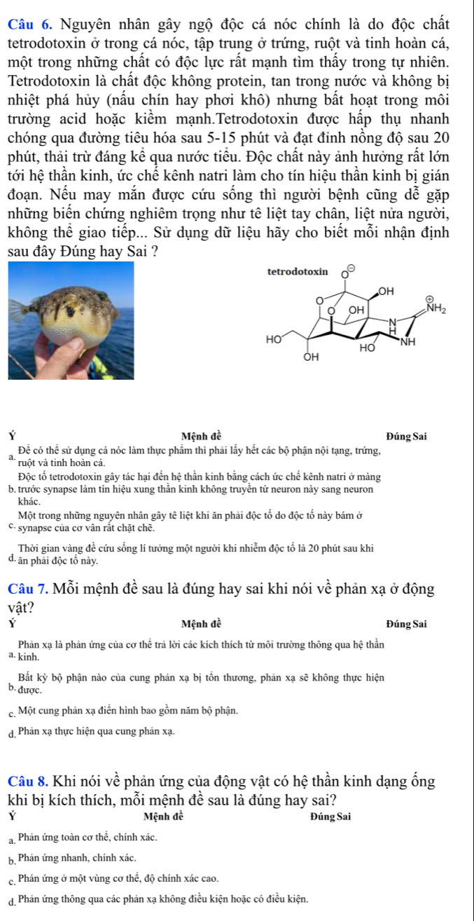 Nguyên nhân gây ngộ độc cá nóc chính là do độc chất
tetrodotoxin ở trong cá nóc, tập trung ở trứng, ruột và tinh hoàn cá,
một trong những chất có độc lực rất mạnh tìm thấy trong tự nhiên.
Tetrodotoxin là chất độc không protein, tan trong nước và không bị
nhiệt phá hủy (nầu chín hay phơi khô) nhưng bất hoạt trong môi
trường acid hoặc kiểm mạnh.Tetrodotoxin được hấp thụ nhanh
chóng qua đường tiêu hóa sau 5-15 phút và đạt đinh nồng độ sau 20
phút, thải trừ đáng kể qua nước tiểu. Độc chất này ảnh hưởng rất lớn
tới hệ thần kinh, ức chế kênh natri làm cho tín hiệu thần kinh bị gián
đoạn. Nếu may mắn được cứu sống thì người bệnh cũng dễ gặp
những biến chứng nghiêm trọng như tê liệt tay chân, liệt nửa người,
không thể giao tiếp... Sử dụng dữ liệu hãy cho biết mỗi nhận định
sau đây Đúng hay Sai ?
Mệnh đề Đúng Sai
Để có thể sử dụng cá nóc làm thực phẩm thì phải lấy hết các bộ phận nội tạng, trứng,
ruột và tinh hoàn cá.
Độc tố tetrodotoxin gây tác hại đến hệ thần kinh bằng cách ức chế kênh natri ở màng
b. trước synapse làm tín hiệu xung thần kinh không truyền từ neuron này sang neuron
khác.
Một trong những nguyên nhân gây tê liệt khi ăn phải độc tố do độc tố này bám ở
C synapse của cơ vân rất chặt chẽ.
Thời gian vàng đề cứu sống lí tưởng một người khi nhiễm độc tố là 20 phút sau khi
d. ăn phải độc tố này.
Câu 7. Mỗi mệnh đề sau là đúng hay sai khi nói Vhat e phản xạ ở động
vật?
Y Mệnh đề Đúng Sai
Phản xạ là phản ứng của cơ thể trả lời các kích thích từ môi trường thông qua hệ thần
a. kinh.
Bắt kỳ bộ phận nào của cung phản xạ bị tồn thương, phản xạ sẽ không thực hiện
b. được.
Một cung phản xạ điển hình bao gồm năm bộ phận.
d Phản xạ thực hiện qua cung phản xạ.
Câu 8. Khi nói về phản ứng của động vật có hệ thần kinh dạng ống
khi bị kích thích, mỗi mệnh đề sau là đúng hay sai?
Mệnh đề Đúng Sai
a. Phản ứng toàn cơ thể, chính xác.
b. Phản ứng nhanh, chính xác.
Phán ứng ở một vùng cơ thể, độ chính xác cao.
Phản ứng thông qua các phản xạ không điều kiện hoặc có điều kiện.