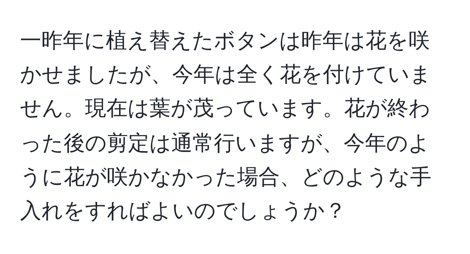 一昨年に植え替えたボタンは昨年は花を咲かせましたが、今年は全く花を付けていません。現在は葉が茂っています。花が終わった後の剪定は通常行いますが、今年のように花が咲かなかった場合、どのような手入れをすればよいのでしょうか？