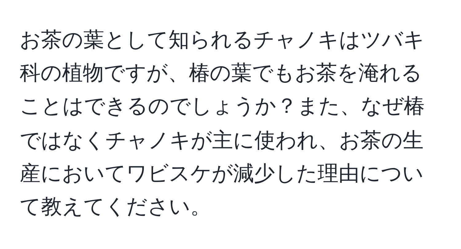 お茶の葉として知られるチャノキはツバキ科の植物ですが、椿の葉でもお茶を淹れることはできるのでしょうか？また、なぜ椿ではなくチャノキが主に使われ、お茶の生産においてワビスケが減少した理由について教えてください。