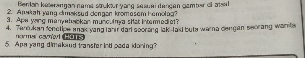 Berilah keterangan nama struktur yang sesuai dengan gambar di atas! 
2. Apakah yang dimaksud dengan kromosom homolog? 
3. Apa yang menyebabkan munculnya sifat intermediet? 
4. Tentukan fenotipe anak yang lahir dari seorang laki-laki buta warna dengan seorang wanita 
normal carrier! HOTS 
5. Apa yang dimaksud transfer inti pada kloning?