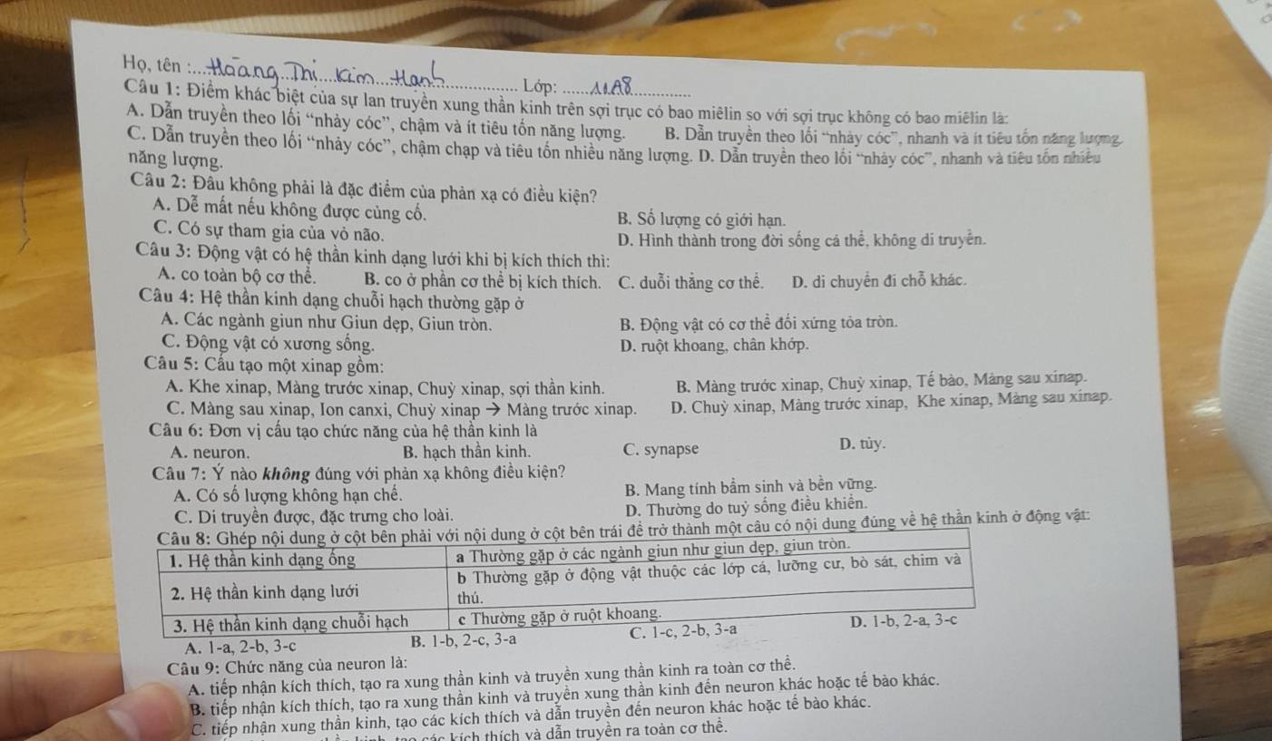 Họ, tên :._
Lớp:
Câu 1: Điểm khác biệt của sự lan truyền xung thần kinh trên sợi trục có bao miêlin so với sợi trục không có bao miêlin là:
A. Dẫn truyền theo lối “nhảy cóc”, chậm và ít tiêu tổn năng lượng. B. Dẫn truyền theo lối “nhảy cóc”, nhanh và ít tiêu tốn năng lượng
C. Dẫn truyền theo lối “nhảy cóc”, chậm chạp và tiêu tốn nhiều năng lượng. D. Dẫn truyền theo lối “nhảy cóc”, nhanh và tiêu tồn nhiều
năng lượng.
Câu 2: Đầu không phải là đặc điểm của phản xạ có điều kiện?
A. Dễ mất nếu không được củng cố. B. Số lượng có giới hạn.
C. Có sự tham gia của vỏ não.
D. Hình thành trong đời sống cá thể, không di truyền.
Câu 3: Động vật có hệ thần kinh dạng lưới khi bị kích thích thì:
A. co toàn bộ cơ thể. B. co ở phần cơ thể bị kích thích. C. duỗi thẳng cơ thể. D. di chuyển đi chỗ khác.
Câu 4: Hệ thần kinh dạng chuỗi hạch thường gặp ở
A. Các ngành giun như Giun dẹp, Giun tròn. B. Động vật có cơ thể đối xứng tỏa tròn.
C. Động vật có xương sống. D. ruột khoang, chân khớp.
Câu 5: Cấu tạo một xinap gồm:
A. Khe xinap, Màng trước xinap, Chuỳ xinap, sợi thần kinh. B. Màng trước xinap, Chuỳ xinap, Tế bào, Màng sau xinap.
C. Màng sau xinap, Ion canxi, Chuỷ xinap → Màng trước xinap. D. Chuỳ xinap, Màng trước xinap, Khe xinap, Màng sau xinap.
Câu 6: Đơn vị cấu tạo chức năng của hệ thần kinh là
A. neuron. B. hạch thần kinh. C. synapse D. tùy.
Câu 7: Ý nào không đúng với phản xạ không điều kiện?
A. Có số lượng không hạn chế.
B. Mang tính bầm sinh và bền vững.
C. Di truyền được, đặc trưng cho loài. D. Thường do tuỷ sống điều khiển.
để trở thành một câu có nội dung đúng về hệ thần kinh ở động vật:
A. 1-a, 2-b, 3-c B. 1-b, 2-c, 3a
Câu 9: Chức năng của neuron là:
A. tiếp nhận kích thích, tạo ra xung thần kinh và truyền xung thần kinh ra toàn cơ thể.
B. tiếp nhận kích thích, tạo ra xung thần kinh và truyền xung thần kinh đến neuron khác hoặc tế bào khác.
C. tiếp nhận xung thần kinh, tạo các kích thích và dẫn truyền đến neuron khác hoặc tế bào khác.
vác kích thích và dẫn truyền ra toàn cơ thể.