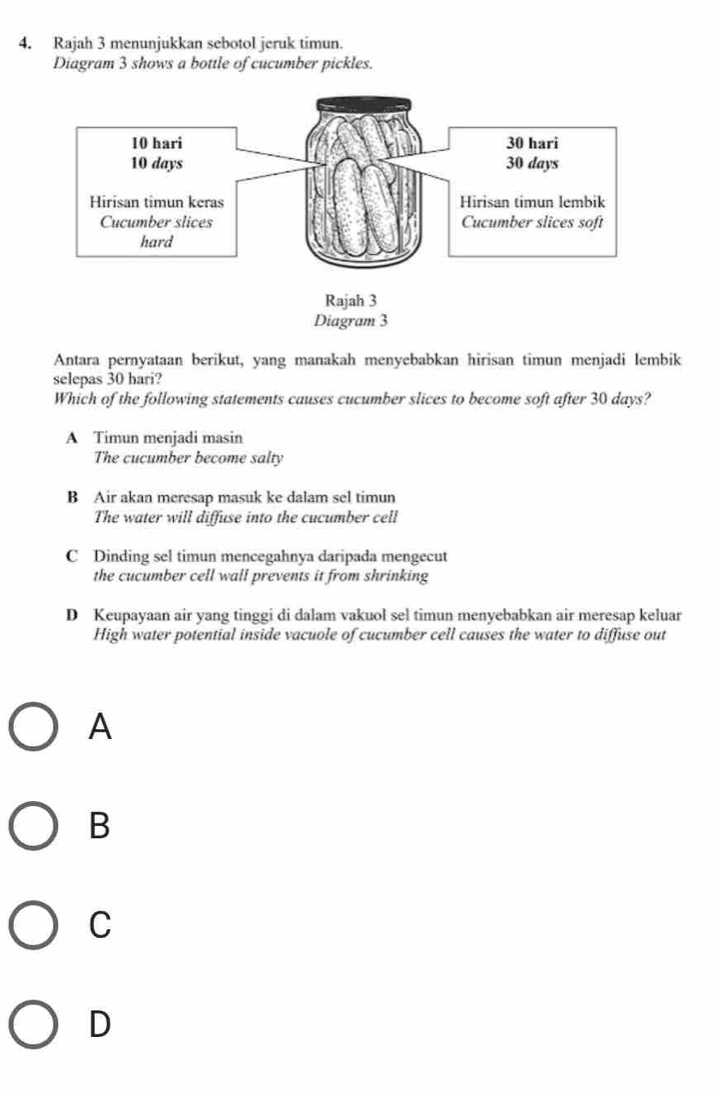 Rajah 3 menunjukkan sebotol jeruk timun.
Diagram 3 shows a bottle of cucumber pickles.
Antara pernyataan berikut, yang manakah menyebabkan hirisan timun menjadi lembik
selepas 30 hari?
Which of the following statements causes cucumber slices to become soft after 30 days?
A Timun menjadi masin
The cucumber become salty
B Air akan meresap masuk ke dalam sel timun
The water will diffuse into the cucumber cell
C Dinding sel timun mencegahnya daripada mengecut
the cucumber cell wall prevents it from shrinking
D Keupayaan air yang tinggi di dalam vakuol sel timun menyebabkan air meresap keluar
High water potential inside vacuole of cucumber cell causes the water to diffuse out
A
B
C
D