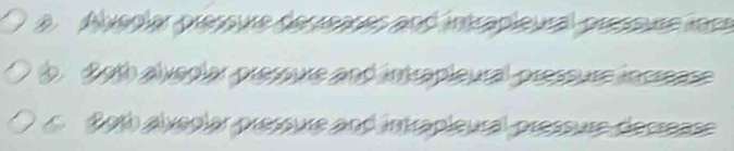 a Abedíar presoure derrenres and intrapieural prespure me
b d oth alvedlar pressure and intrapleural pressure increase
6 2oth alveglar pressure and intrapieural pressure decrease