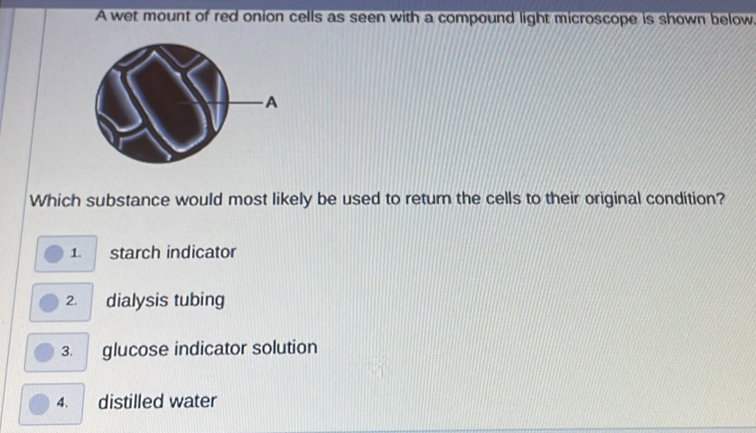 A wet mount of red onion cells as seen with a compound light microscope is shown below
Which substance would most likely be used to return the cells to their original condition?
1. starch indicator
2. dialysis tubing
3. glucose indicator solution
4. distilled water