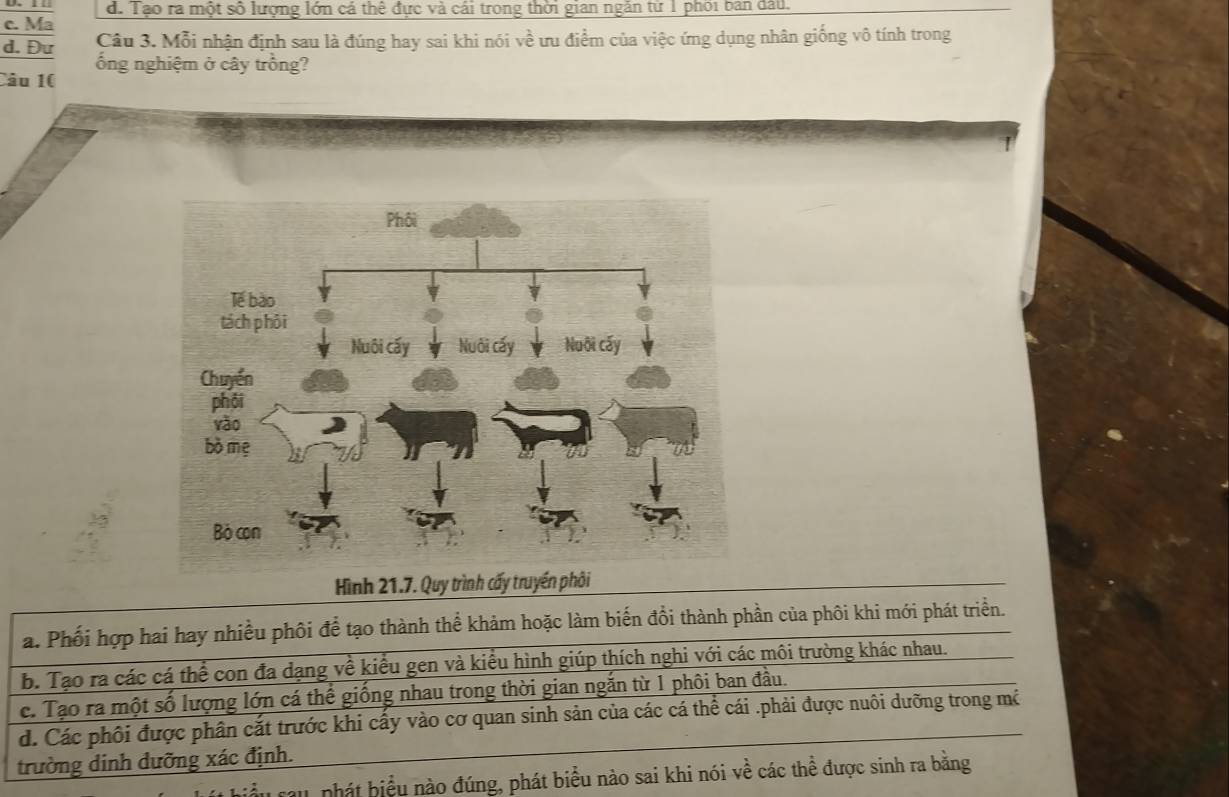 d. Tạo ra một số lượng lớn cá thệ đực và cái trong thời gian ngăn từ 1 phoi bản đầu.
c. Ma Câu 3. Mỗi nhận định sau là đúng hay sai khi nói về ưu điểm của việc ứng dụng nhân giống vô tính trong
d. Đư ổng nghiệm ở cây trồng?
Câu 10
Hình 21.7. Quy trình cấy truyền phôi
a. Phối hợp hai hay nhiều phối để tạo thành thể khảm hoặc làm biến đồi thành phần của phôi khi mới phát triển.
b. Tạo ra các cá thể con đa dạng về kiểu gen và kiểu hình giúp thích nghi với các môi trường khác nhau.
c. Tạo ra một số lượng lớn cá thể giống nhau trong thời gian ngắn từ 1 phôi ban đầu.
d. Các phối được phân cắt trước khi cấy vào cơ quan sinh sản của các cá thể cái .phải được nuôi dưỡng trong mô
trường dinh dưỡng xác định.
au nhát biểu nào đúng, phát biểu nào sai khi nói về các thể được sinh ra bằng