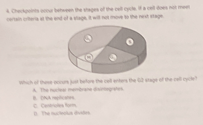 Checkpoints occur between the stages of the cell cycle. If a cell does not meet
certain criteria at the end of a stage, it will not move to the next stage.
a o
Which of these occurs just before the cell enters the G2 stage of the cell cycle?
A. The nuclear membrane disintegrates.
B. DNA replicates
C. Centrioles form
D. The nucleolus divides.