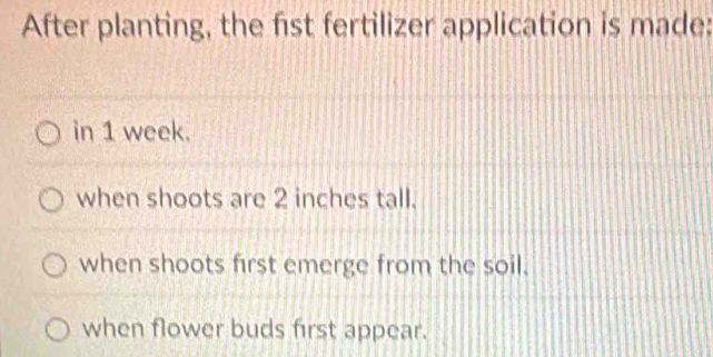 After planting, the fist fertilizer application is made:
in 1 week.
when shoots are 2 inches tall.
when shoots first emerge from the soil.
when flower buds first appear.