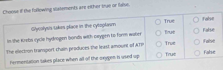 owing statements are either true or false.