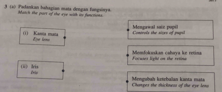 3 (a) Padankan bahagian mata dengan fungsinya. 
Match the part of the eye with its functions. 
Mengawal saiz pupil 
(i) Kanta mata Controls the sizes of pupil 
Eye lens 
Memfokuskan cahaya ke retina 
Focuses light on the retina 
(ii) Iris 
Iris 
Mengubah ketebalan kanta mata 
Changes the thickness of the eye lens