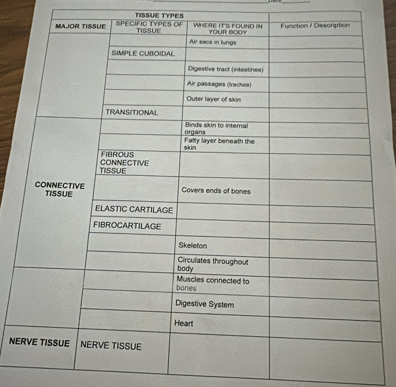 TISSUE TYPES 
NE