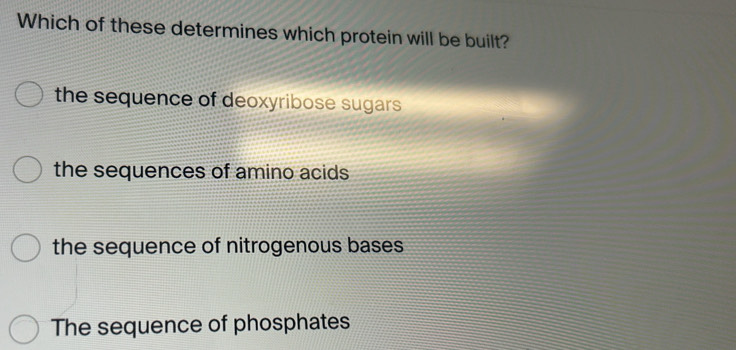 Which of these determines which protein will be built?
the sequence of deoxyribose sugars
the sequences of amino acids
the sequence of nitrogenous bases
The sequence of phosphates