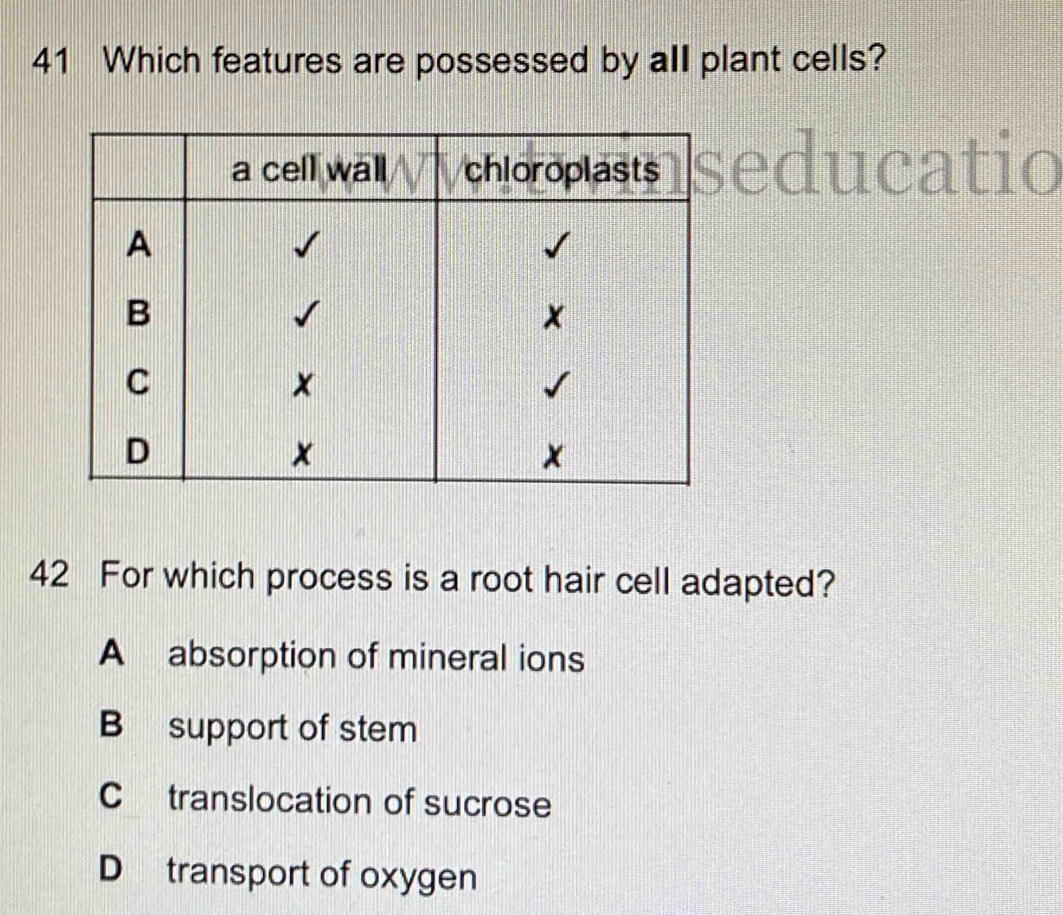 Which features are possessed by all plant cells?
1 _
educatic
42 For which process is a root hair cell adapted?
A absorption of mineral ions
B support of stem
Ctranslocation of sucrose
D transport of oxygen