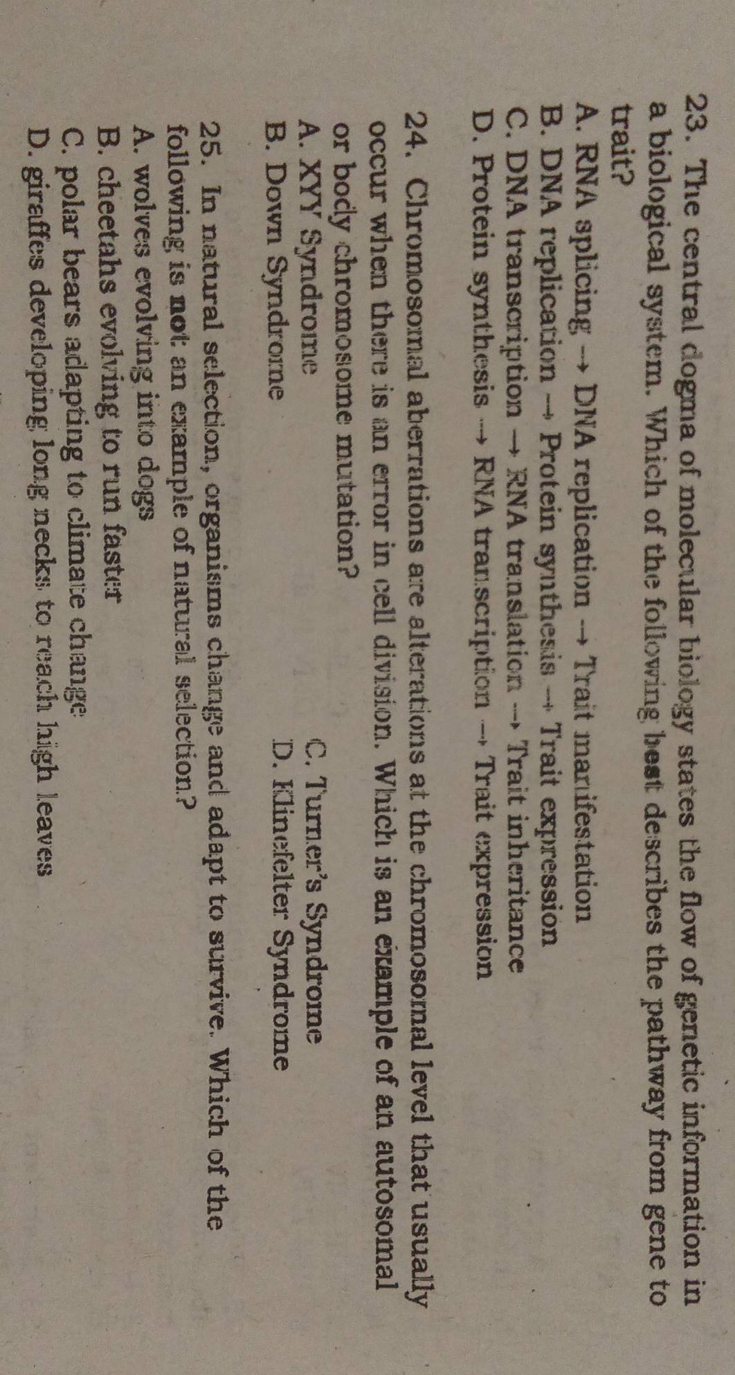 The central dogma of molecular biology states the flow of genetic information in
a biological system. Which of the following best describes the pathway from gene to
trait?
A. RNA splicing → DNA replication → Trait manifestation
B. DNA replication → Protein synthesis → Trait expression
C. DNA transcription → RNA translation → Trait inheritance
D. Protein synthesis → RNA transcription → Trait expression
24. Chromosomal aberrations are alterations at the chromosomal level that usually
occur when there is an error in cell division. Which is an example of an autosomal
or body chromosome mutation?
A. XYY Syndrome C. Turner's Syndrome
B. Down Syndrome D. Klinefelter Syndrome
25. In natural selection, organisms change and adapt to survive. Which of the
following is not an example of natural selection?
A. wolves evolving into dogs
B. cheetahs evolving to run faster
C. polar bears adapting to climate change
D. giraffes developing long necks to reach high leaves
