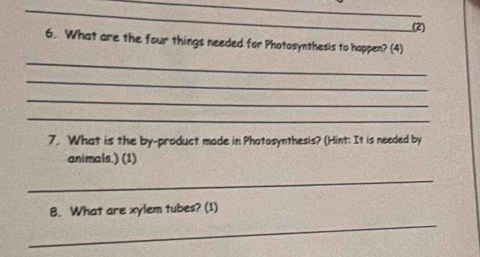 (2) 
6. What are the four things needed for Photosynthesis to happen? (4) 
_ 
_ 
_ 
_ 
7. What is the by-product made in Photosynthesis? (Hint: It is needed by 
animals.) (1) 
_ 
_ 
8. What are xylem tubes? (1)