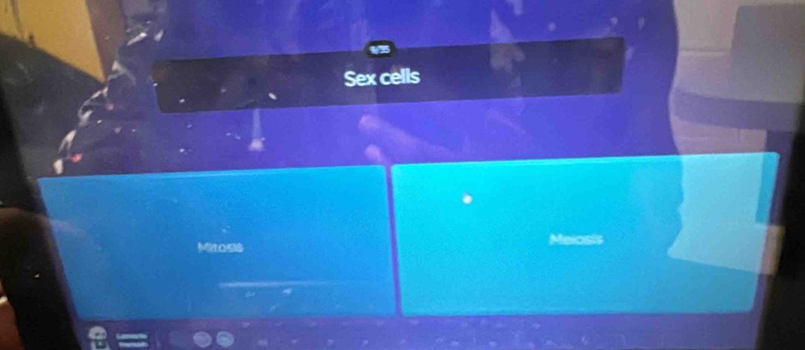 Sex cells 
Mitasis