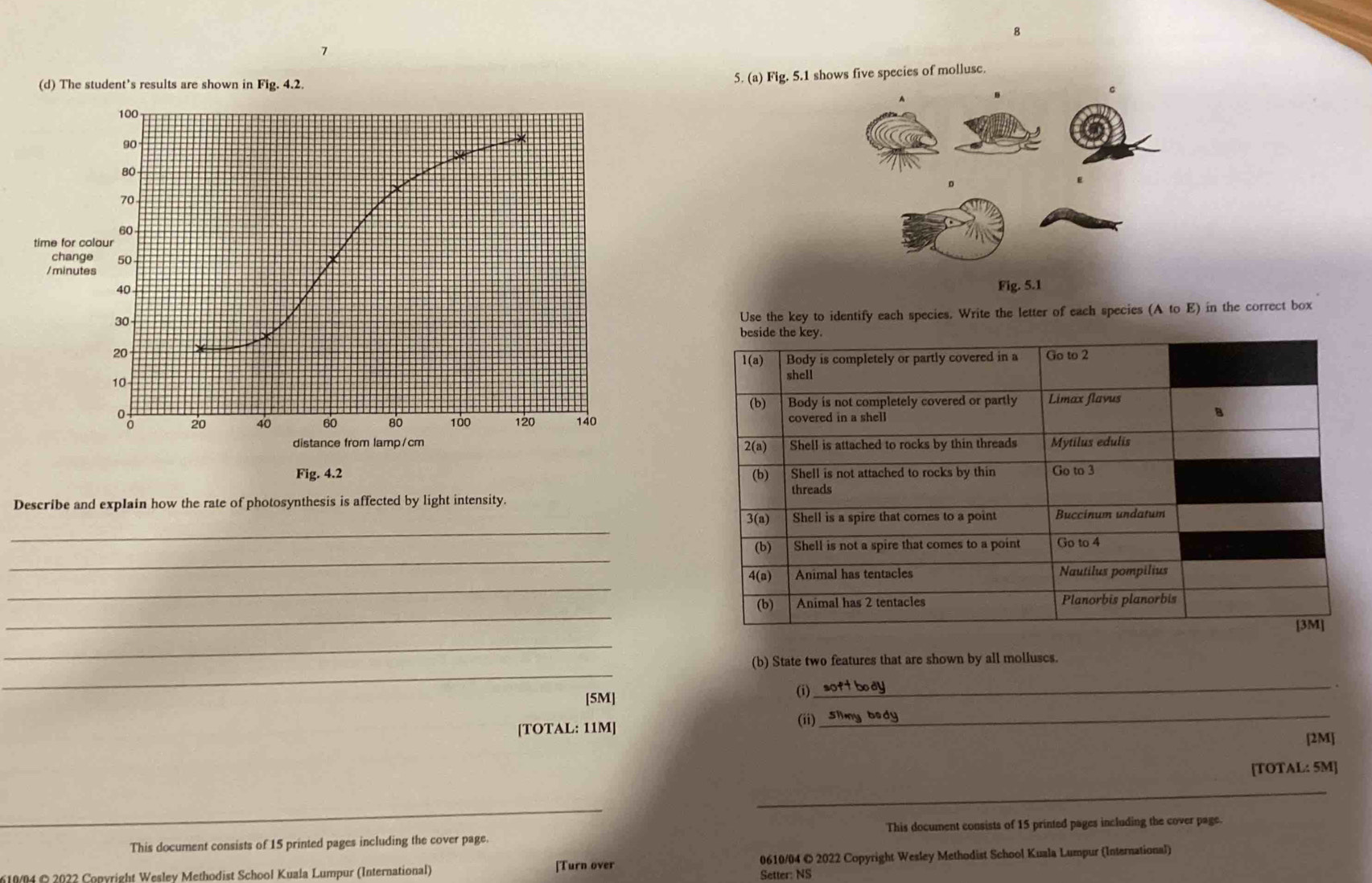 8 
1 
(d) The student’s results are shown in Fig. 4.2. 
5. (a) Fig. 5.1 shows five species of mollusc.
100
90
80
70
60 - 
time for colour 
change 50
/minutes Fig. 5.1
30
Use the key to identify each species. Write the letter of each species (A to E) in the correct box
20
10
20 40 60 80 100 120 140
distance from lamp/cm 
Fig. 4.2 
Describe and explain how the rate of photosynthesis is affected by light intensity. 
_ 
_ 
_ 
_ 
_ 
_ 
(b) State two features that are shown by all molluscs. 
_ 
_ 
[5M] (i) 
[TOTAL: 11M] (ii)_ Slimy bed 
[2M] 
[TOTAL: 5M] 
_ 
_ 
This document consists of 15 printed pages including the cover page. This document consists of 15 printed pages including the cover page. 
610/04 © 2022 Copyright Wesley Methodist School Kuala Lumpur (International) Setter: NS 0610/04 © 2022 Copyright Wesley Methodist School Kuala Lumpur (International) 
[Turn over