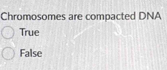 Chromosomes are compacted DNA
True
False