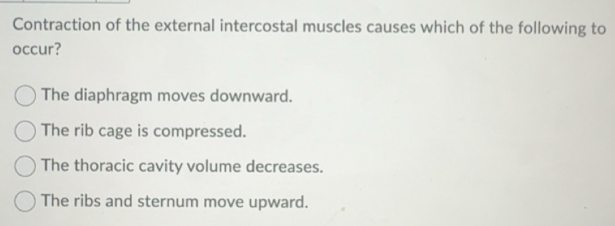 Solved: Contraction of the external intercostal muscles causes which of ...