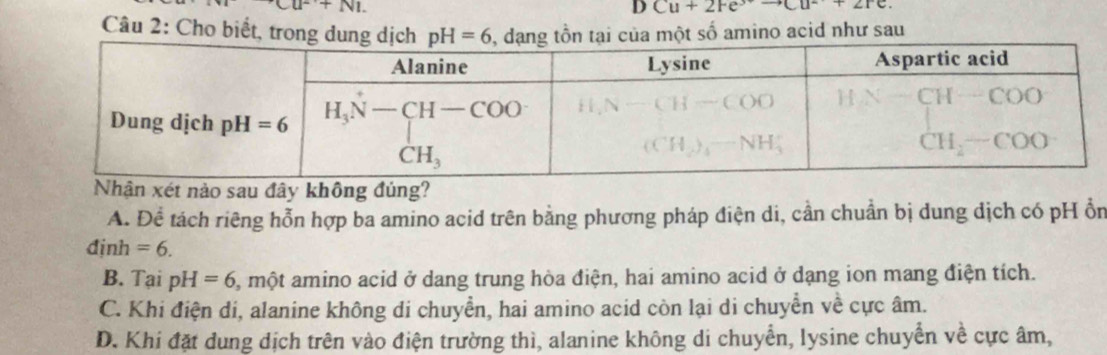 ^to CU^(2+)+NI.
D Cu+2Fe^(3+)to Cu^(2+)+2re.
Câu 2: Cho biết, tronột số amino acid như sau
Nhận xét nảo sau đây không đủng?
A. Để tách riêng hỗn hợp ba amino acid trên bằng phương pháp điện di, cần chuẩn bị dung dịch có pH ổn
dinh=6.
B. Tại pH=6 5, một amino acid ở dang trung hòa điện, hai amino acid ở dạng ion mang điện tích.
C. Khi điện di, alanine không di chuyển, hai amino acid còn lại di chuyển về cực âm.
D. Khi đặt dung dịch trên vào điện trường thì, alanine không di chuyển, lysine chuyển về cực âm,