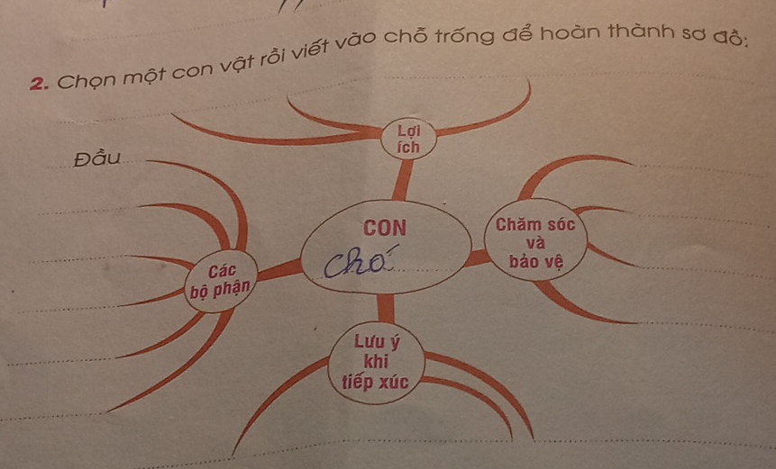 ật rồi viết vào chỗ trống để hoàn thành sơ đỗ: